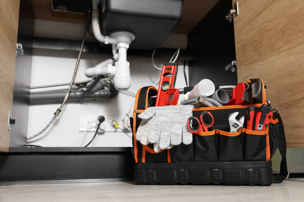 Best Residential Plumbing Services  in Hamton, IL