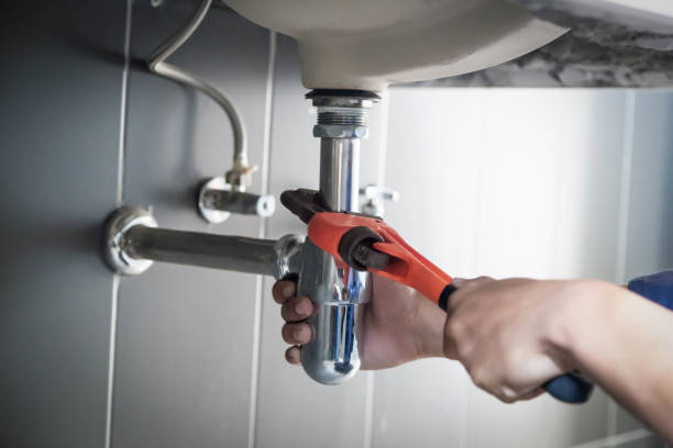 Best Shower Repair Services  in Hamton, IL